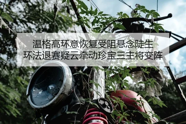 wen-ge-gao-huan-yi-hui-fu-shou-zu-xuan-nian-dou-sheng-huan-fa-tui-sai-yi-yun-qian-dong-zhen-bao-san-zhu-jiang-bian-zhen-2-464.jpg